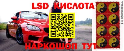 метадон Аргун