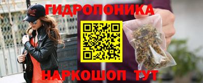 метадон Аргун