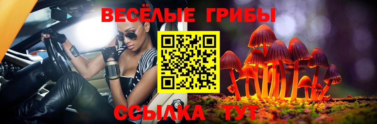 Псилоцибиновые грибы мицелий Белгород
